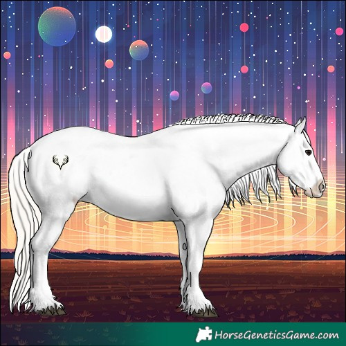 Horse Color:Silver Grullo Appaloosa 