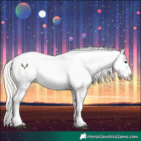 Horse Color:Silver Grullo Appaloosa 