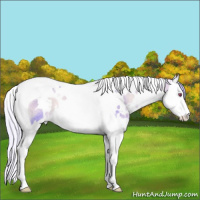 Horse Color:Watercolor White Spotted Silver Bay Chinchilla Onyx Splash Tobiano 