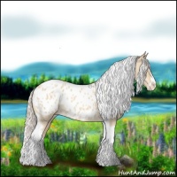 Horse Color:Silver Classic Champagne Roan Dun Splash Tobiano Frame Appaloosa Rabicano