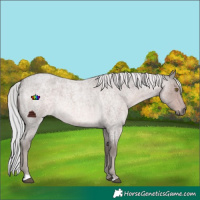 Horse Color:Platinum Chocolate Palomino Roan