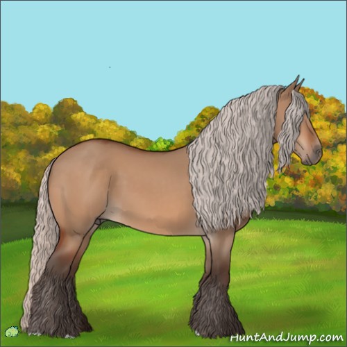 Horse Color:Silver Bay Dun
