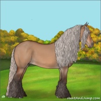 Horse Color:Silver Bay Dun 