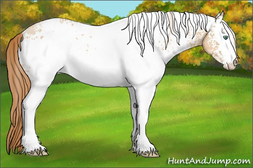 Horse Color:White Spotted Smoky Black Pearl 