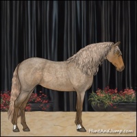Horse Color:Chocolate Palomino Roan 