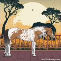 Horse Color:Bay Tobiano  and Bay Tobiano 