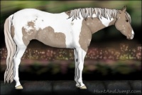Horse Color:Silver Grullo Tobiano Snowcap