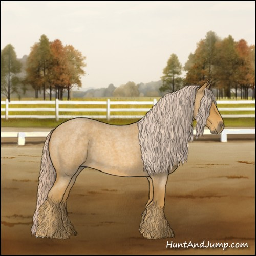 Horse Color:Palomino Roan 