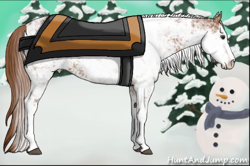 Horse Color:Chestnut Sabino 