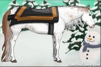 Horse Color:Chestnut Sabino 