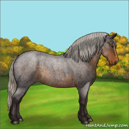 Horse Color:Silver Smoky Blue Roan 