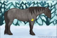 Horse Color:Smoky Blue Roan