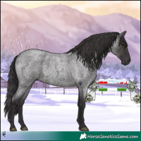 Horse Color:Smoky Blue Roan 