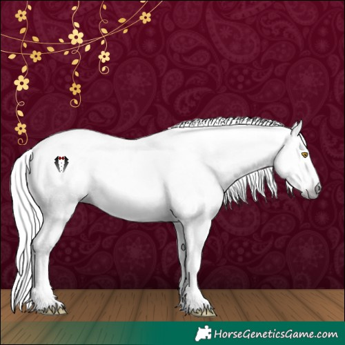 Horse Color:Gray Amber Champagne Sabino Tobiano Varnish and Gray Amber Champagne Sabino Tobiano Varnish Rabicano