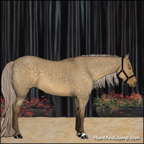 Horse Color:Chocolate Palomino Roan Dun