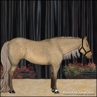 Horse Color:Chocolate Palomino Roan Dun 