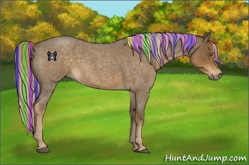 Horse Color:Painted Chocolate Palomino Roan