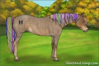 Horse Color:Painted Chocolate Palomino Roan 