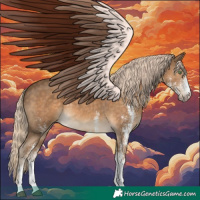 Horse Color:White Spotted Chocolate Palomino 