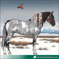 Horse Color:White Spotted Smoky Blue Roan 
