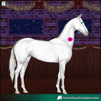 Horse Color:Gray Silver Amber Champagne Roan Pearl Dun Tobiano Appaloosa 