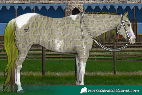 Horse Color:Plaid Liver Red Dun Ice Sabino Tobiano Rabicano