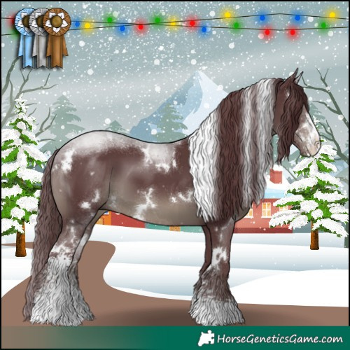 Horse Color:White Spotted Chocolate Black Sabino 