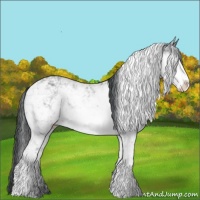 Horse Color:Sable Champagne Chinchilla Sabino