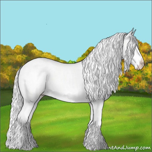 Horse Color:Silver Classic Champagne Chinchilla Splash Appaloosa 