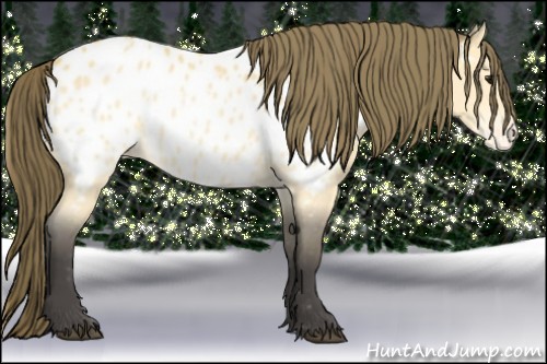 Horse Color:Buckskin Near Leopard
