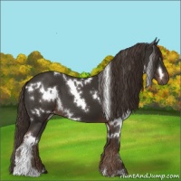 Horse Color:White Spotted Liver Chestnut 