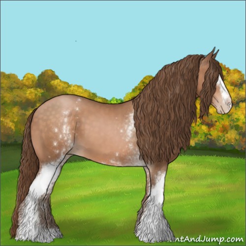 Horse Color:White Spotted Brown Pearl