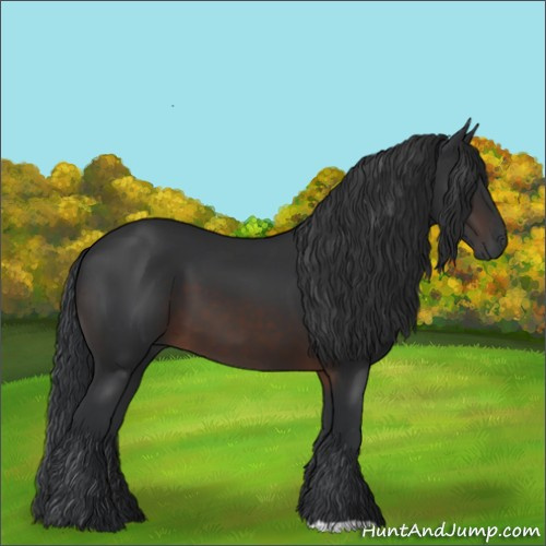 Horse Color:Brown 