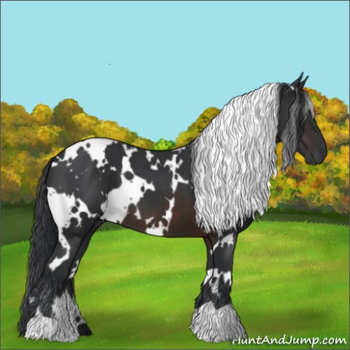 Horse Color:White Spotted Brown 