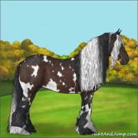 Horse Color:White Spotted Brown 