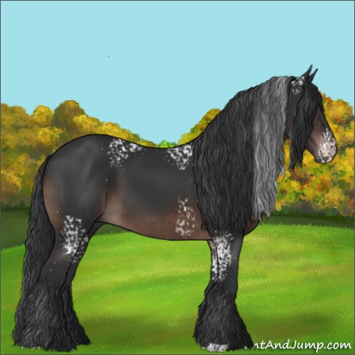 Horse Color:White Spotted Brown