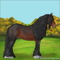 Horse Color:Brown Appaloosa