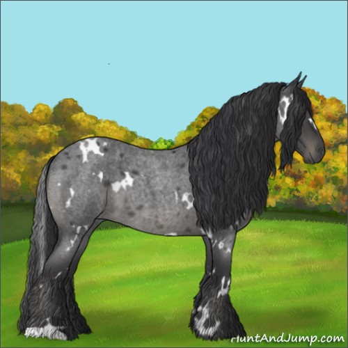 Horse Color:White Spotted Blue Roan 