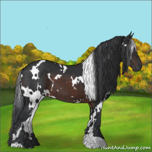 Horse Color:White Spotted Brown 