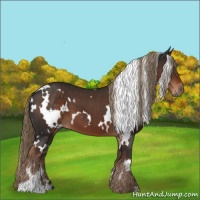 Horse Color:White Spotted Liver Chestnut 