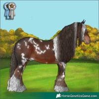 Horse Color:White Spotted Liver Chestnut Tobiano 