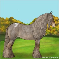 Horse Color:Chocolate Palomino Roan Varnish 