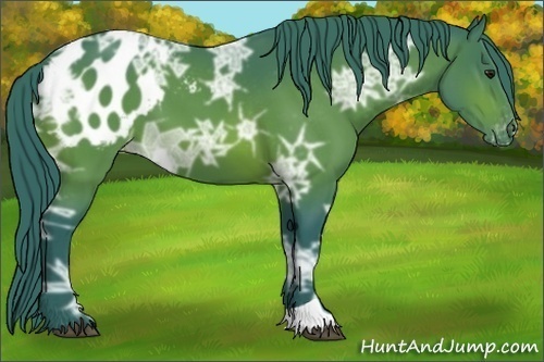Horse Color:Watercolor Brown Ice Blanket