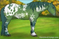 Horse Color:Watercolor Brown Ice Appaloosa 