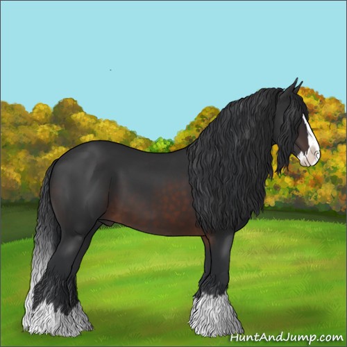 Horse Color:Brown Sabino Splash
