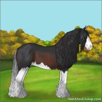 Horse Color:Brown Splash