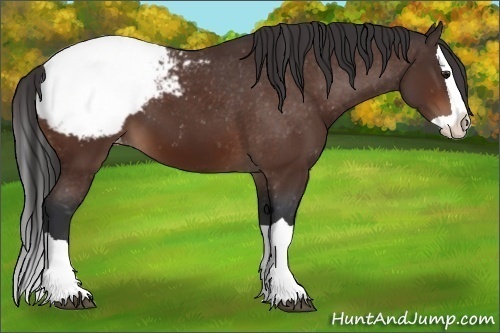 Horse Color:Brown Splash Snowcap