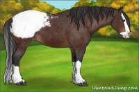 Horse Color:Brown Splash Snowcap
