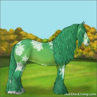 Horse Color:Watercolor Buckskin Ice 