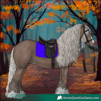 Horse Color:Silver Black 